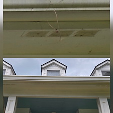 HOUSE-SOFT-WASHING-SERVICE-JOB-IN-DAHLONEGA-GA 4