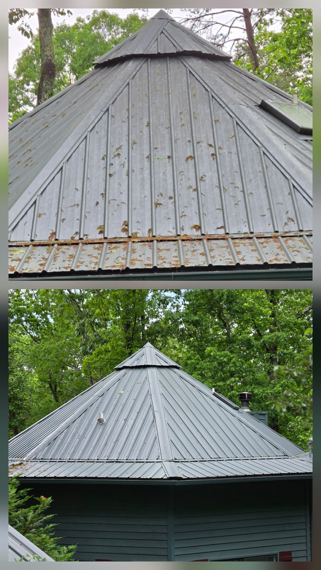 METAL ROOF CLEANING JOB IN ELLIJAY, GEORGIA