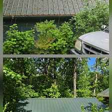 METAL-ROOF-CLEANING-JOB-IN-ELLIJAY-GEORGIA 0